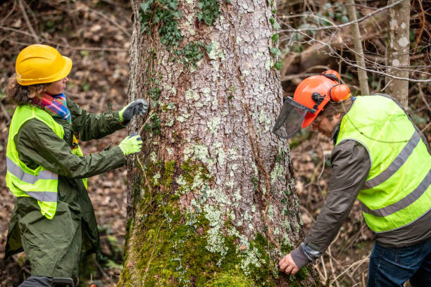 Becker, MN Tree Care Company